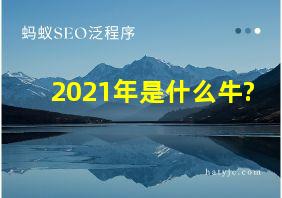 2021年是什么牛?