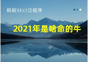 2021年是啥命的牛