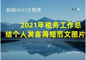 2021年税务工作总结个人发言简短范文图片