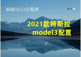 2021款特斯拉model3配置