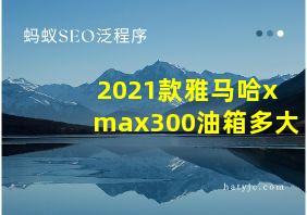 2021款雅马哈xmax300油箱多大