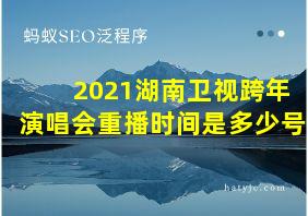 2021湖南卫视跨年演唱会重播时间是多少号