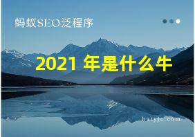 2021 年是什么牛