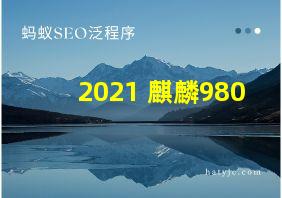 2021 麒麟980