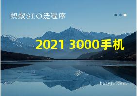 2021 3000手机