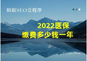 2022医保缴费多少钱一年