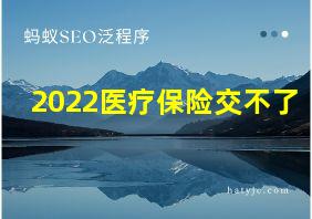 2022医疗保险交不了