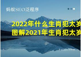 2022年什么生肖犯太岁图解2021年生肖犯太岁