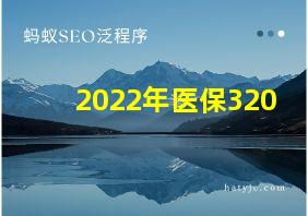 2022年医保320