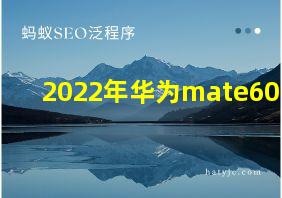 2022年华为mate60pro