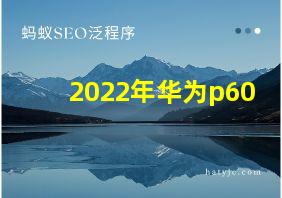 2022年华为p60