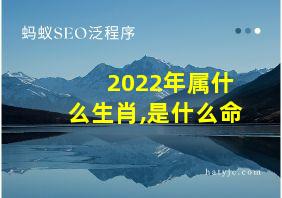 2022年属什么生肖,是什么命