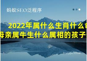 2022年属什么生肖什么命母亲属牛生什么属相的孩子好