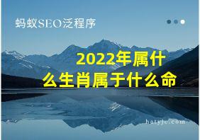 2022年属什么生肖属于什么命