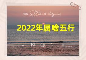 2022年属啥五行