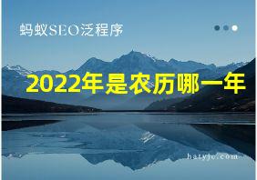 2022年是农历哪一年