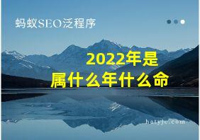 2022年是属什么年什么命