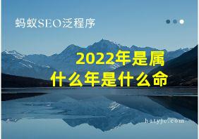 2022年是属什么年是什么命