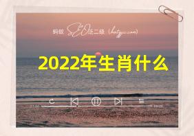 2022年生肖什么