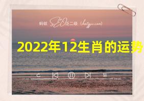 2022年12生肖的运势