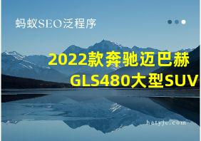 2022款奔驰迈巴赫GLS480大型SUV