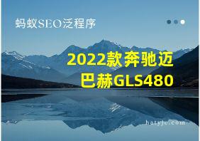 2022款奔驰迈巴赫GLS480