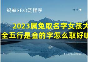 2023属兔取名字女孩大全五行是金的字怎么取好听