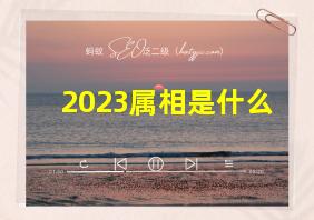 2023属相是什么