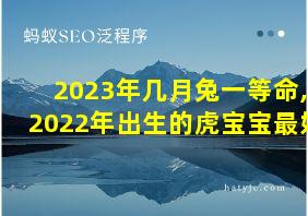 2023年几月兔一等命,2022年出生的虎宝宝最好