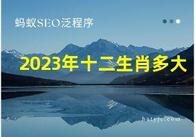 2023年十二生肖多大