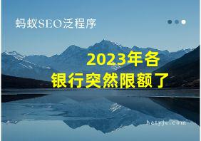 2023年各银行突然限额了