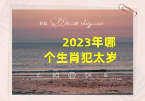 2023年哪个生肖犯太岁