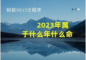 2023年属于什么年什么命