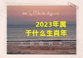 2023年属于什么生肖年