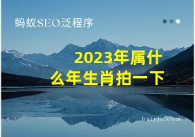 2023年属什么年生肖拍一下