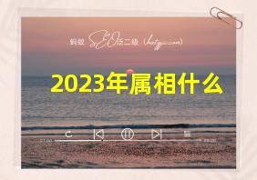 2023年属相什么