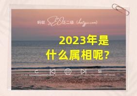 2023年是什么属相呢?