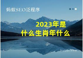 2023年是什么生肖年什么