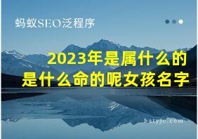 2023年是属什么的是什么命的呢女孩名字