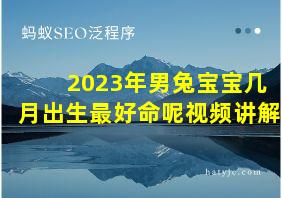 2023年男兔宝宝几月出生最好命呢视频讲解