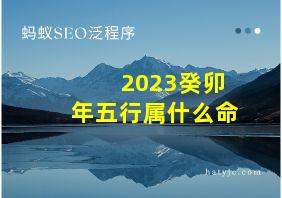 2023癸卯年五行属什么命