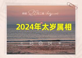 2024年太岁属相