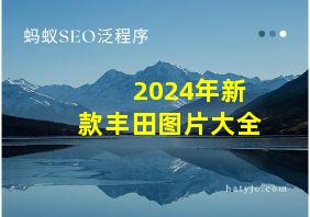 2024年新款丰田图片大全