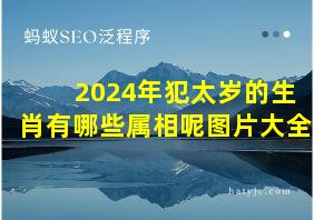 2024年犯太岁的生肖有哪些属相呢图片大全