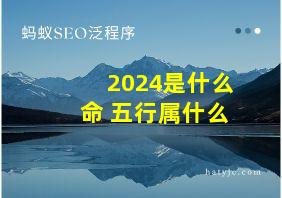 2024是什么命 五行属什么