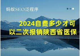 2024自费多少才可以二次报销陕西省医保