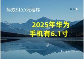 2025年华为手机有6.1寸