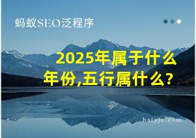 2025年属于什么年份,五行属什么?