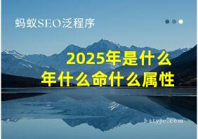 2025年是什么年什么命什么属性