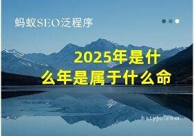 2025年是什么年是属于什么命